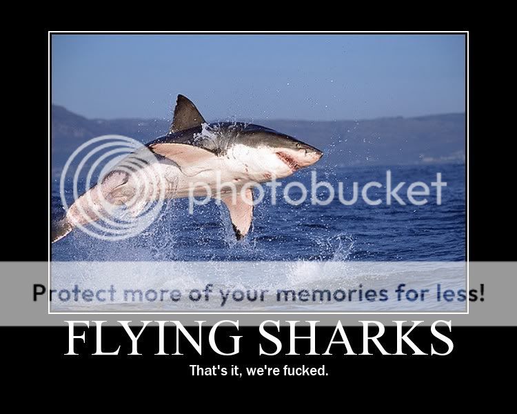 sharks.jpg