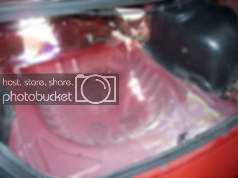 23trunkstripped.jpg