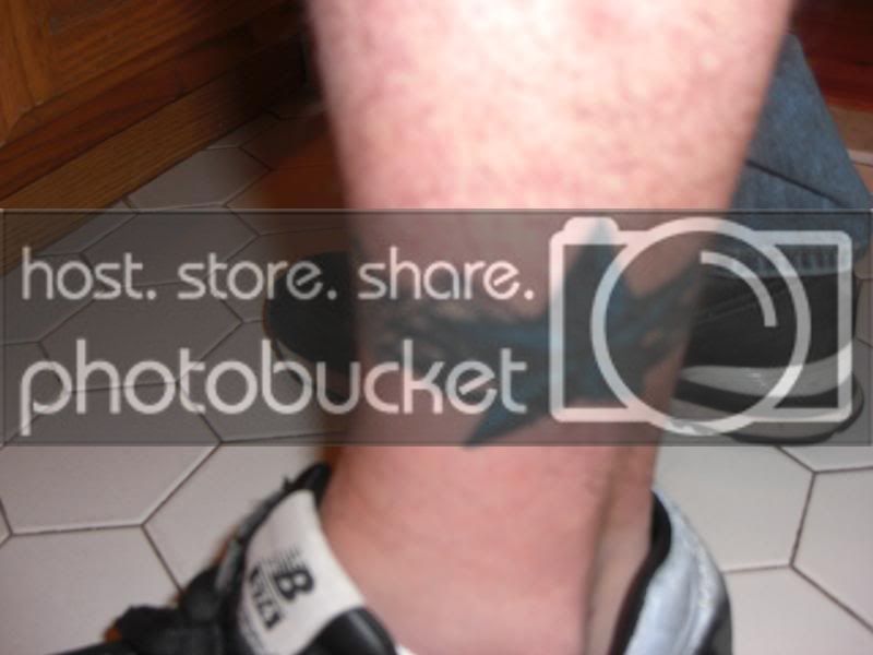 tats2009003.jpg