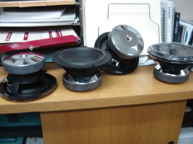 DSC08568.jpg