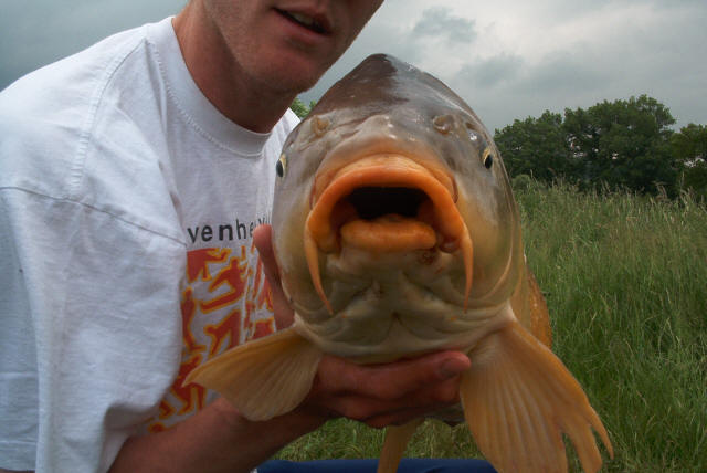 Carp%2099.jpg