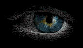 blinkeye1.gif