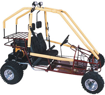 go-carts-adult-1.jpg