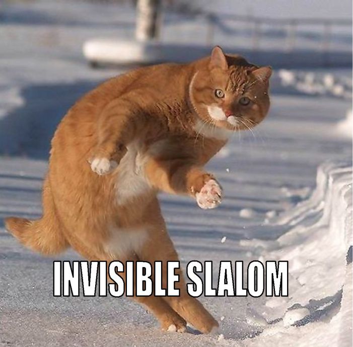 1188245238-1187040261783.b.jpg