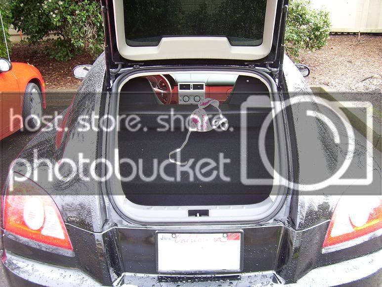 trunk3.jpg