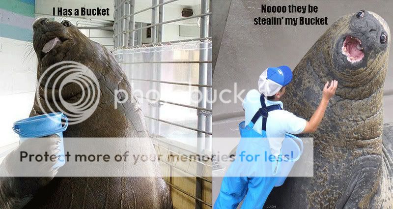 TheyBeStealinMyBucketSeal.jpg