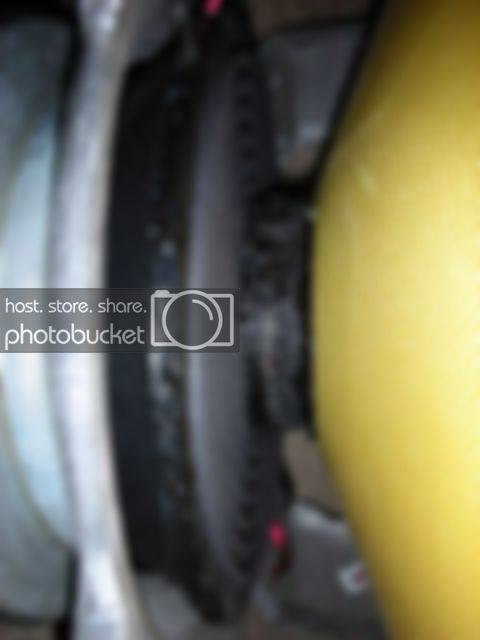 DSCN1040.jpg