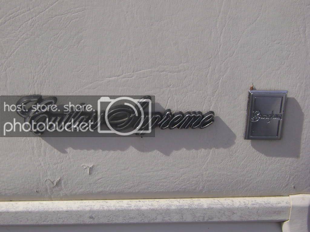 DSC01592.jpg