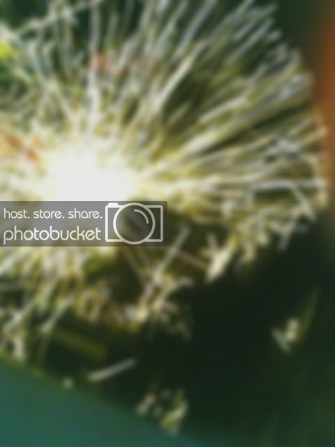 082106_3.jpg