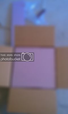 IMAG0320.jpg