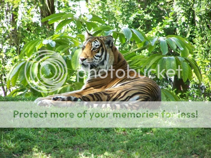 Zoo010.jpg