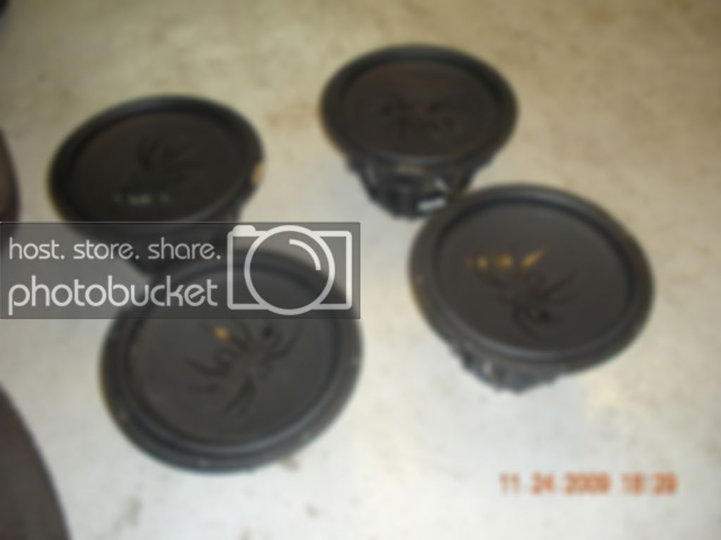 DSCN0549.jpg
