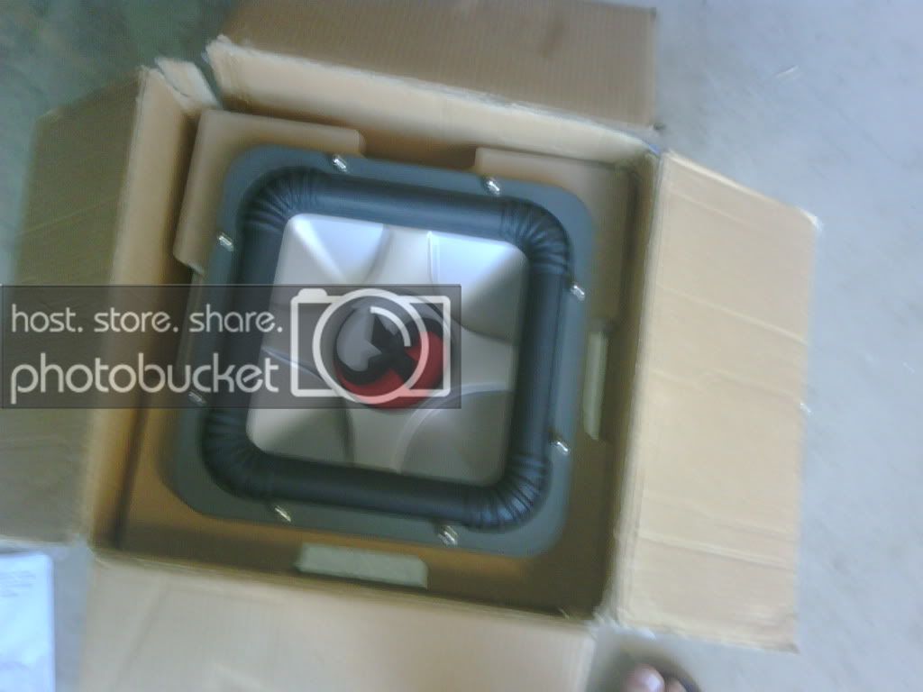 IMG00193.jpg