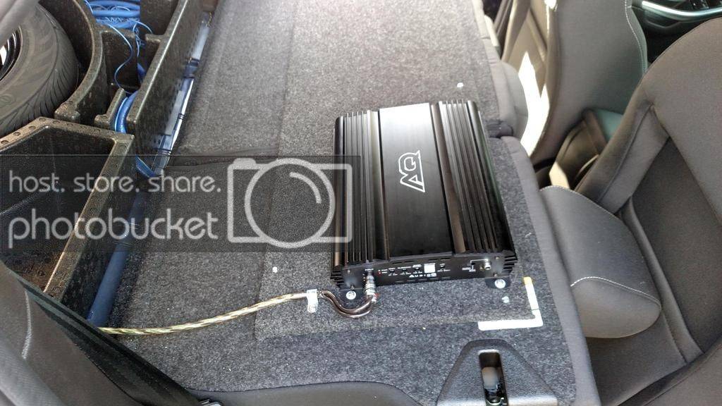 Trunk-10.jpg