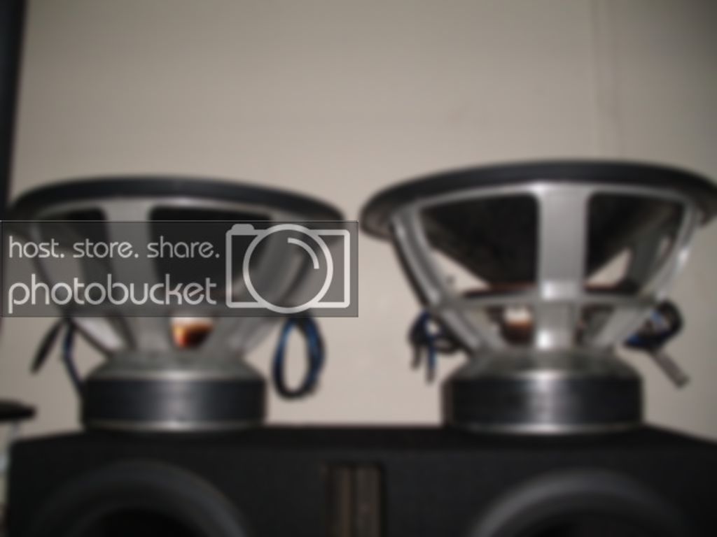 Collection428.jpg