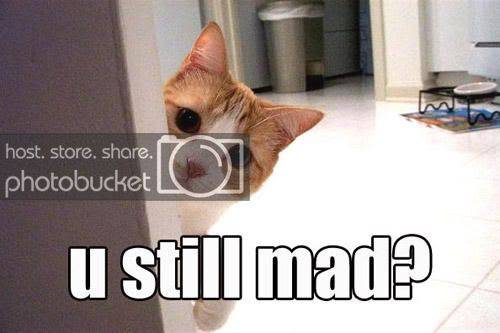 you_still_mad.jpg