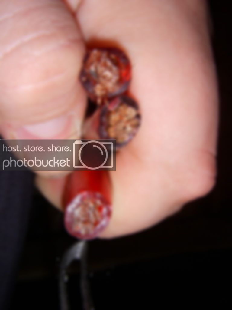 DSCN1607.jpg
