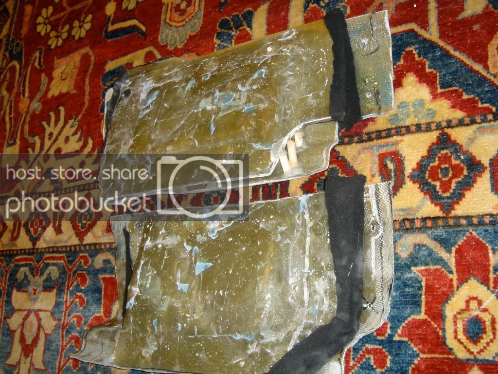 DSC03858.jpg