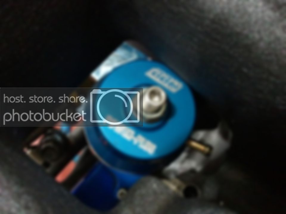 2010-11-16215522.jpg