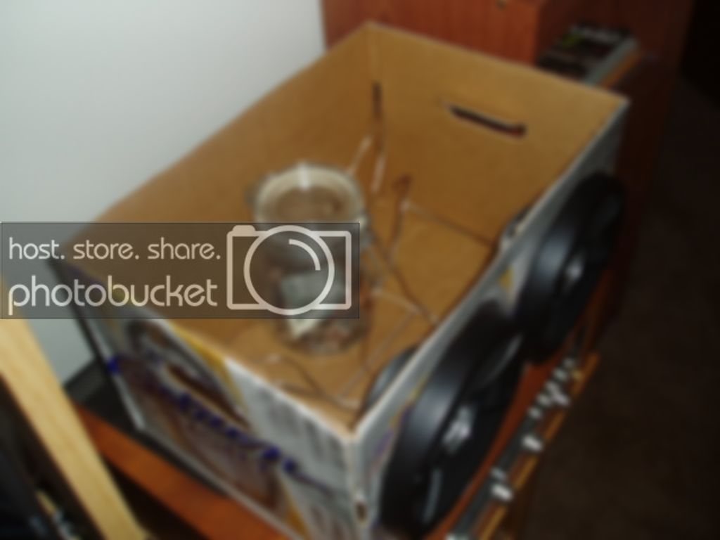 infinityspeakers007.jpg