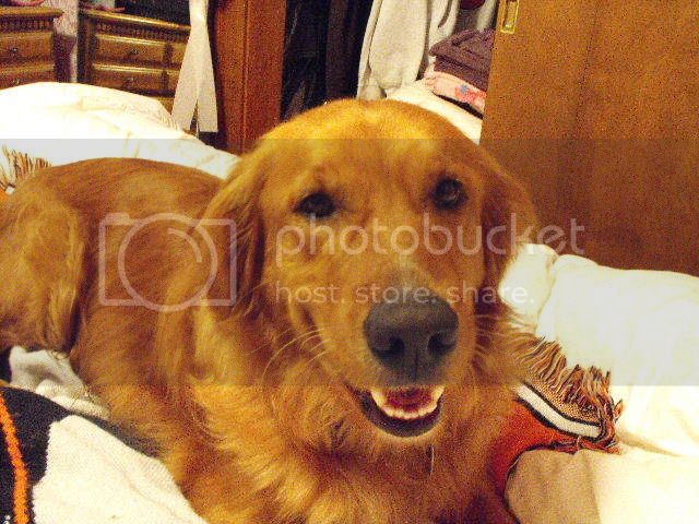 2008_0626ChewieandMe0024.jpg