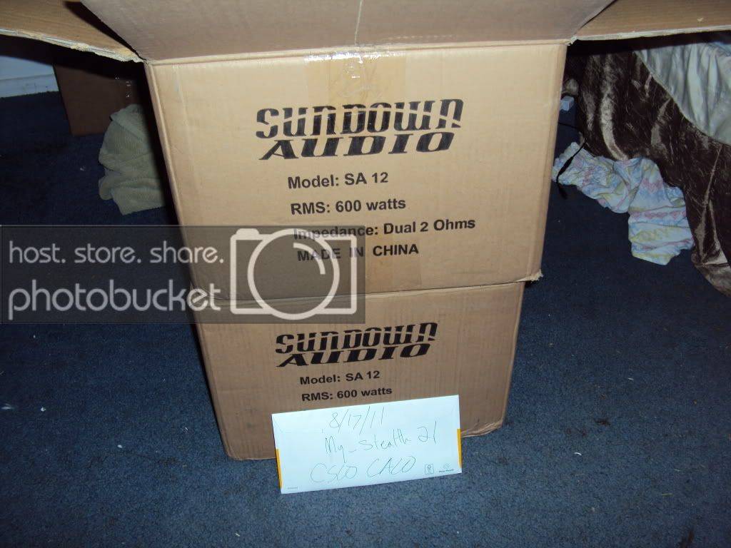 DSC01201.jpg