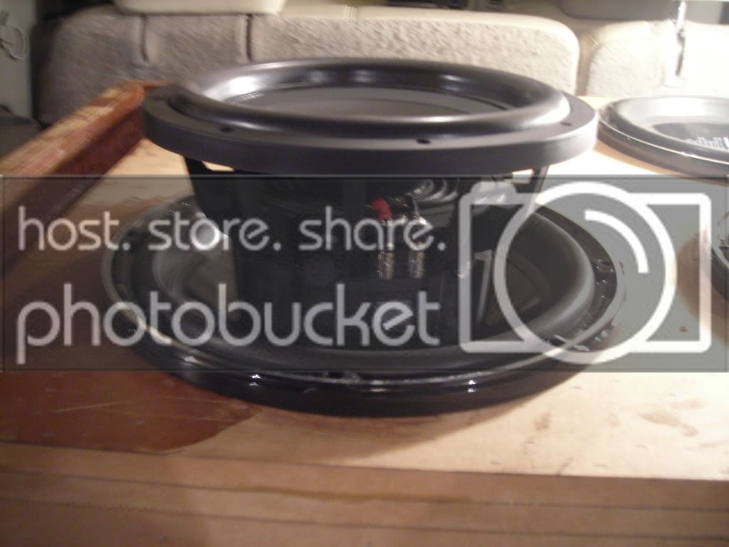 newpics2008418043.jpg