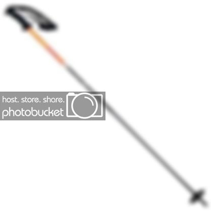 ski-pole.jpg