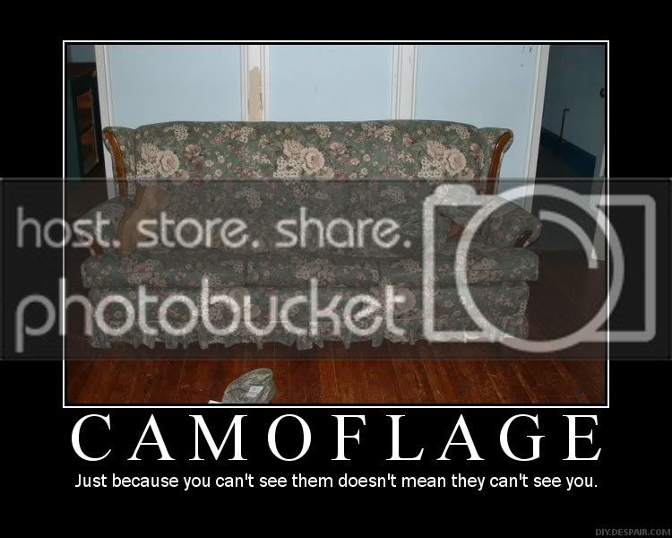 camoflage_anonib.jpg