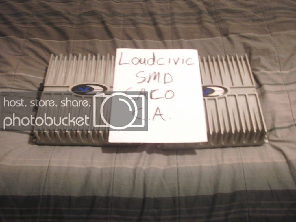 SANY0280.jpg