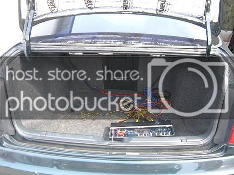 Beforetrunk.jpg