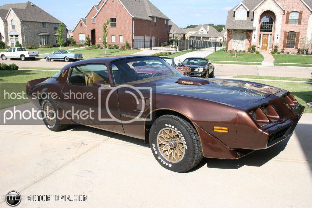 Browntransam_zps43af2029.jpg