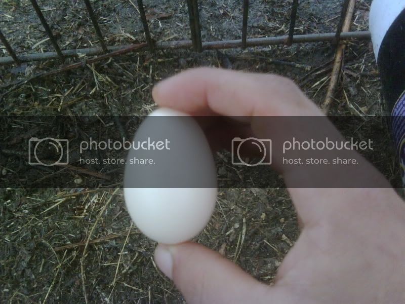 IMG00045.jpg