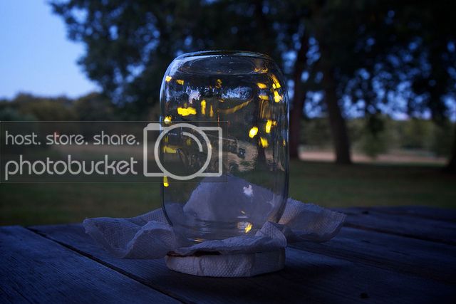 fireflies-in-a-jar-tumblr_zpsgyphzkva.jpg