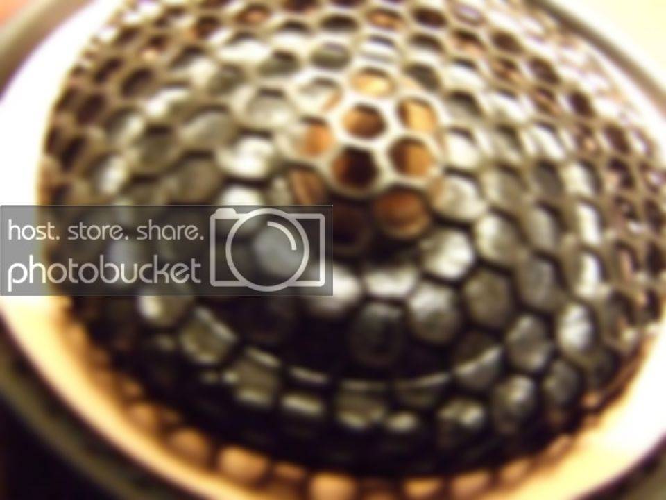 DSCF8184.jpg