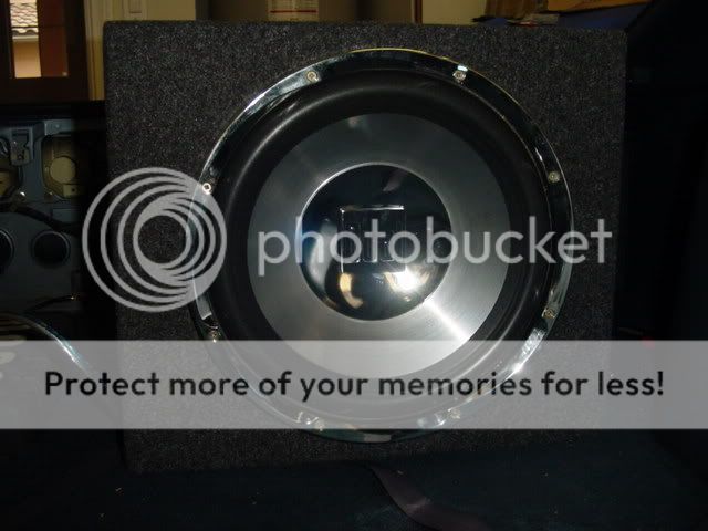 DSC01705.jpg