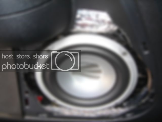 DSC01302.jpg
