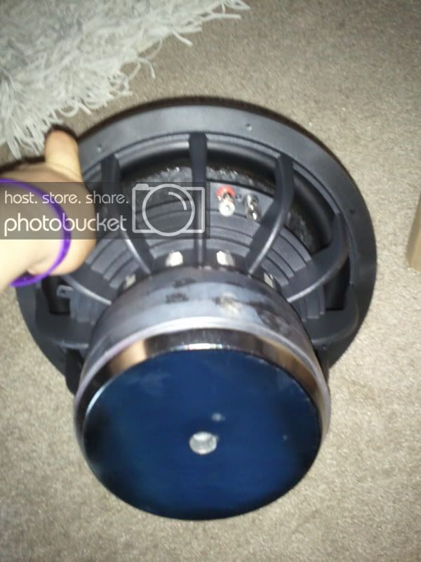2011-03-29092436.jpg