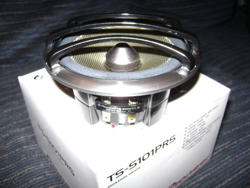 DSC08927.jpg