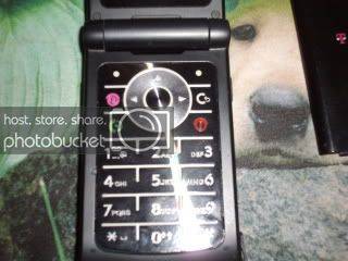 w490007.jpg