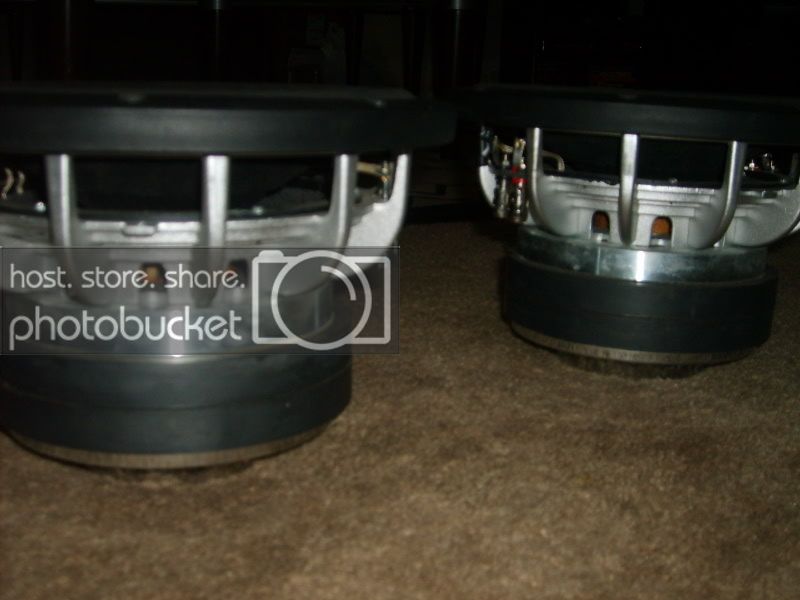 S5000703.jpg