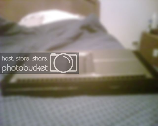 IMG00459.jpg