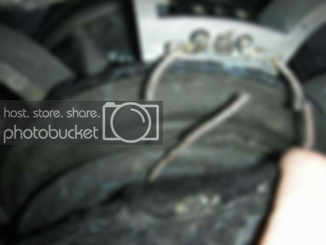 DSCN1017.jpg