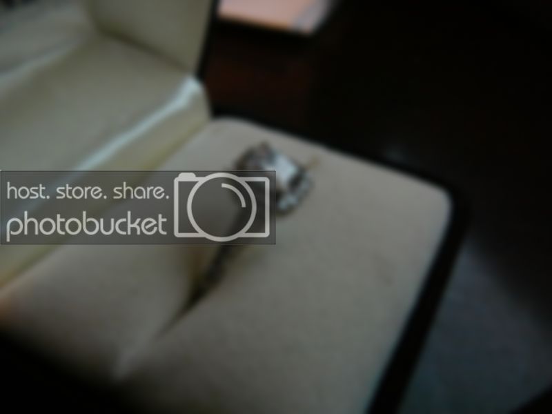 install115.jpg