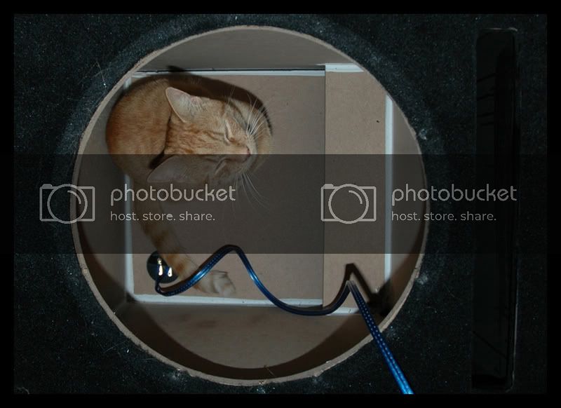 DSC_0103edit.jpg