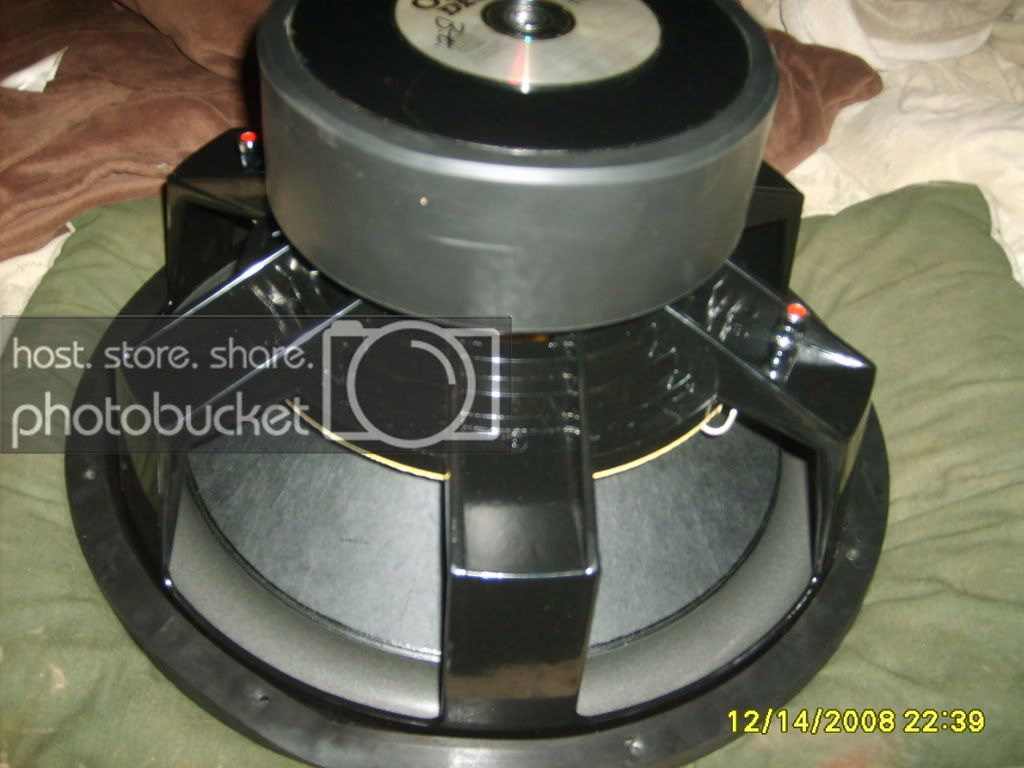 Picture255.jpg