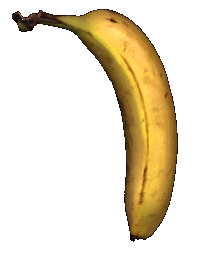 gina1.gif