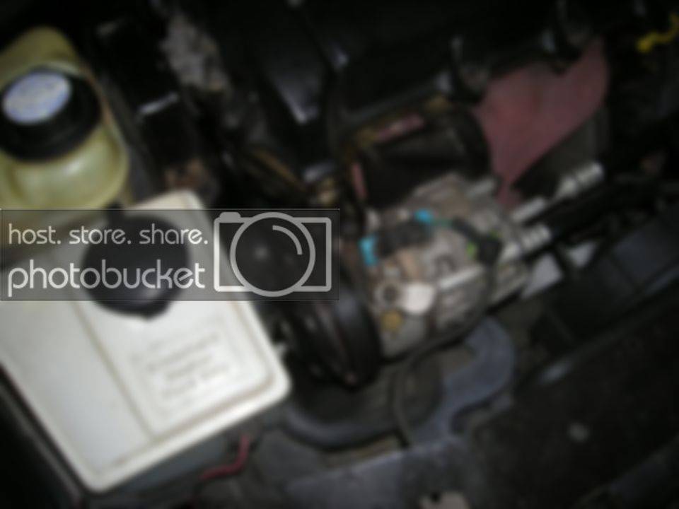 DSCN0424.jpg