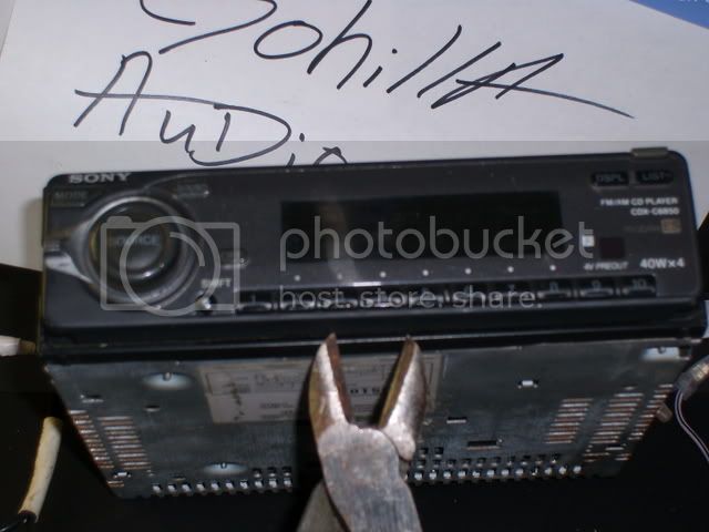 SL730424.jpg