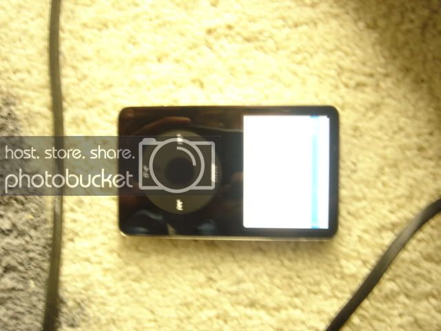 DSC01511.jpg